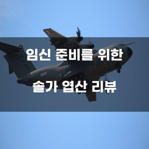 임신 준비를 위한 솔가 엽산 리뷰