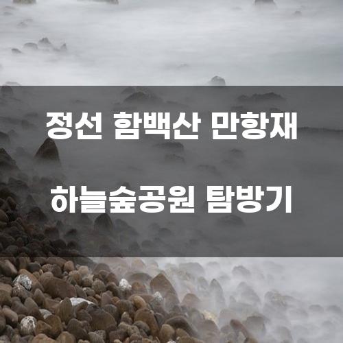 정선 함백산 만항재 하늘숲공원 탐방기