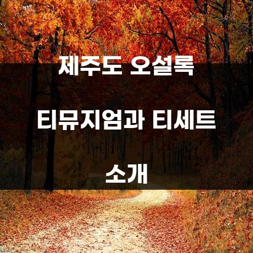 제주도 오설록 티뮤지엄과 티세트 소개