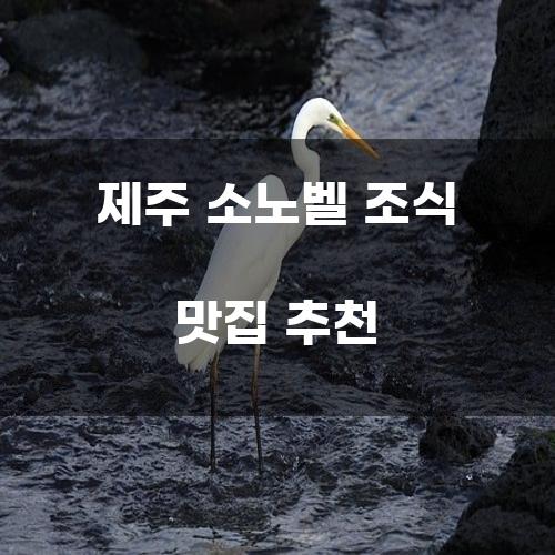 제주 소노벨 조식 맛집 추천