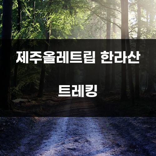 제주올레트립 한라산 트레킹