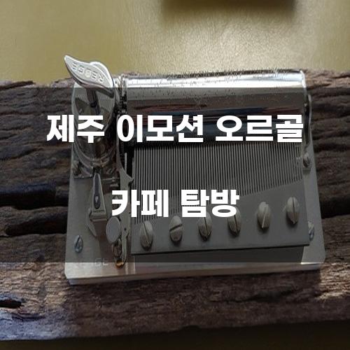 제주 이모션 오르골 카페 탐방