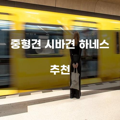 중형견 시바견 하네스 추천