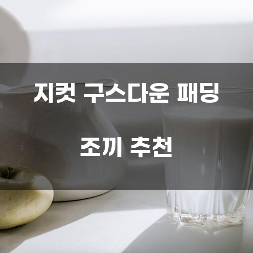 지컷 구스다운 패딩 조끼 추천