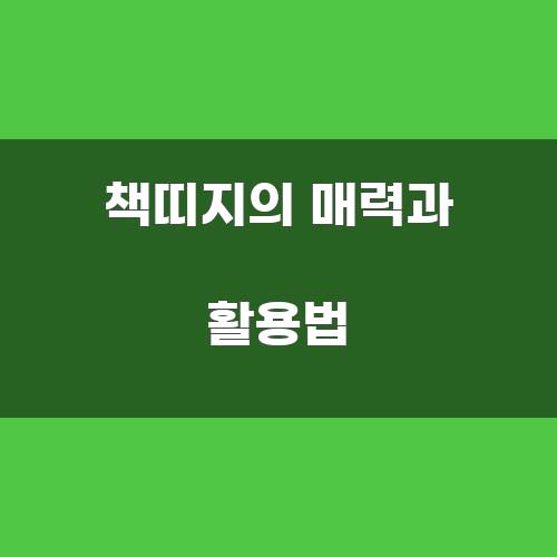 책띠지의 매력과 활용법