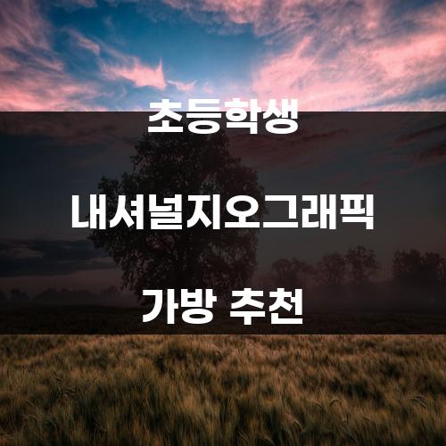 초등학생 내셔널지오그래픽 가방 추천