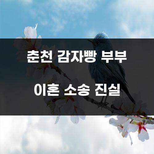 춘천 감자빵 부부 이혼 소송 진실