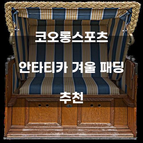 코오롱스포츠 안타티카 겨울 패딩 추천