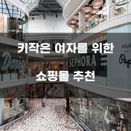키작은 여자를 위한 쇼핑몰 추천