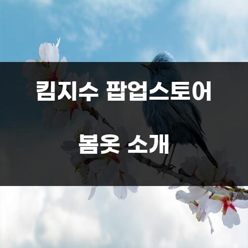 킴지수 팝업스토어 봄옷 소개