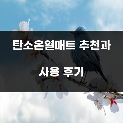 탄소온열매트 추천과 사용 후기