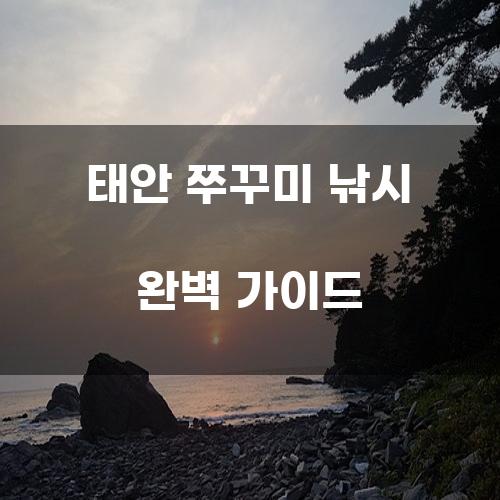 태안 쭈꾸미 낚시 완벽 가이드