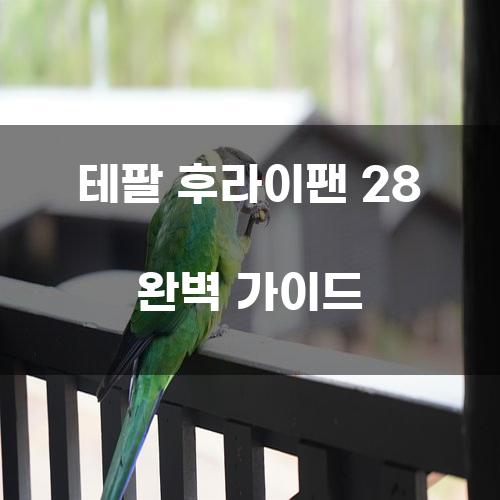 테팔 후라이팬 28 완벽 가이드