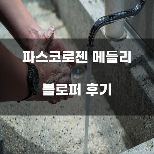 파스코로젠 메들리 블로퍼 후기