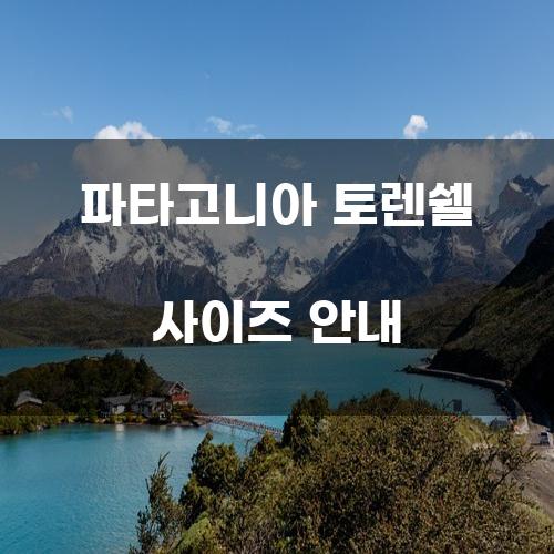 파타고니아 토렌쉘 사이즈 안내