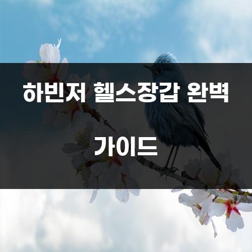 하빈저 헬스장갑 완벽 가이드