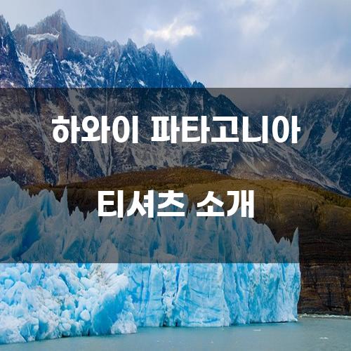 하와이 파타고니아 티셔츠 소개