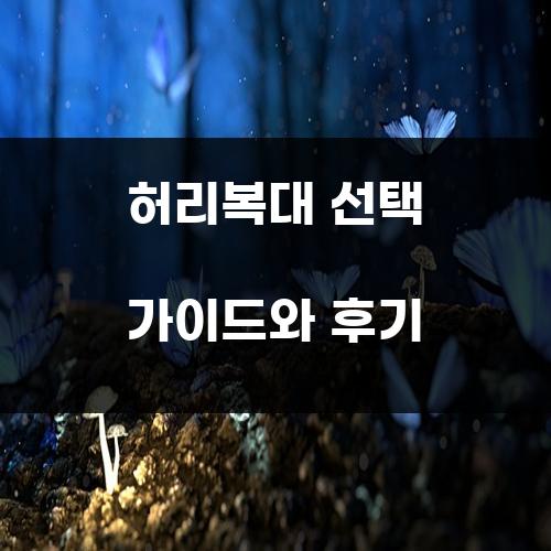 허리복대 선택 가이드와 후기