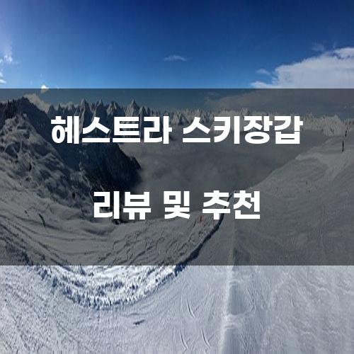 헤스트라 스키장갑 리뷰 및 추천