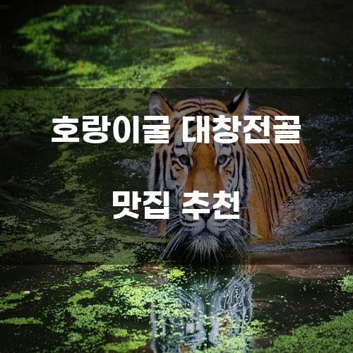 호랑이굴 대창전골 맛집 추천