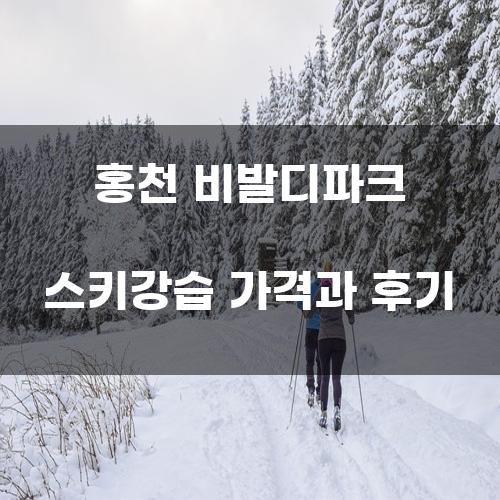 홍천 비발디파크 스키강습 가격과 후기