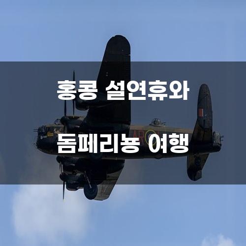 홍콩 설연휴와 돔페리뇽 여행