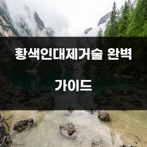 황색인대제거술 완벽 가이드