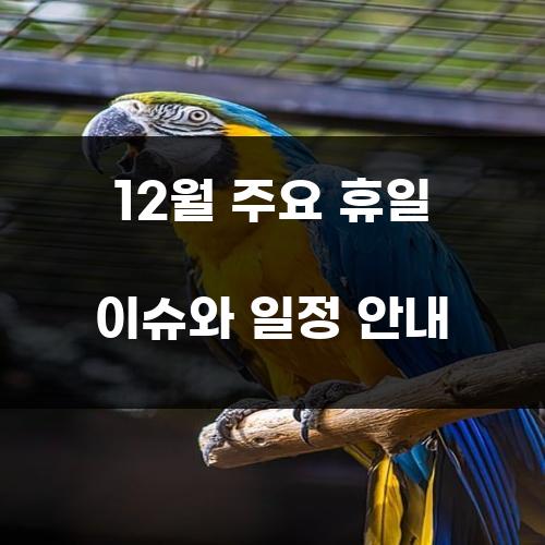 12월 주요 휴일 이슈와 일정 안내