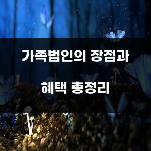 가족법인의 장점과 혜택 총정리
