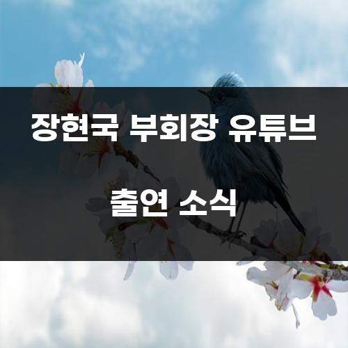 장현국 부회장 유튜브 출연 소식