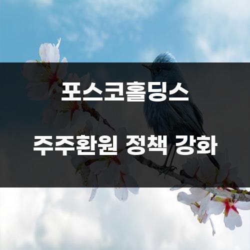 포스코홀딩스 주주환원 정책 강화