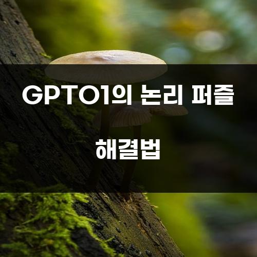 GPTO1의 논리 퍼즐 해결법