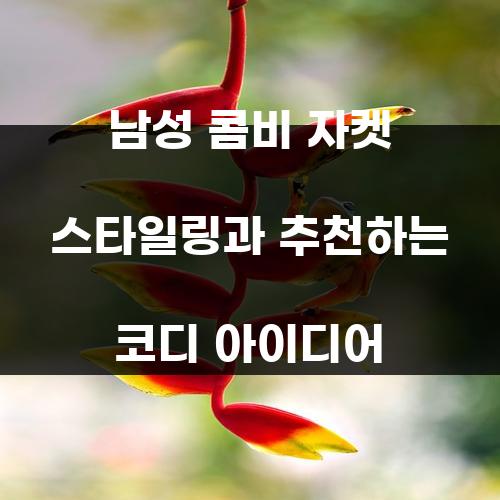 남성 콤비 자켓 스타일링과 추천하는 코디 아이디어