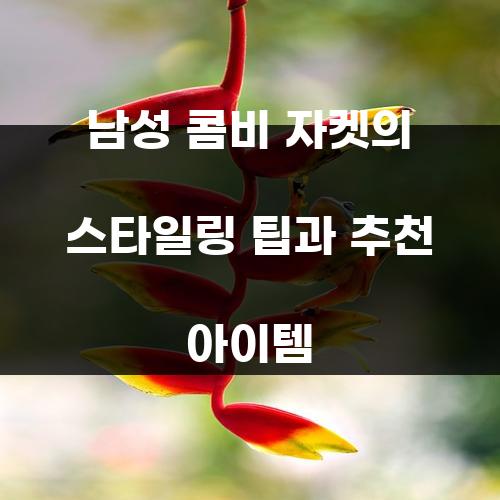 남성 콤비 자켓의 스타일링 팁과 추천 아이템