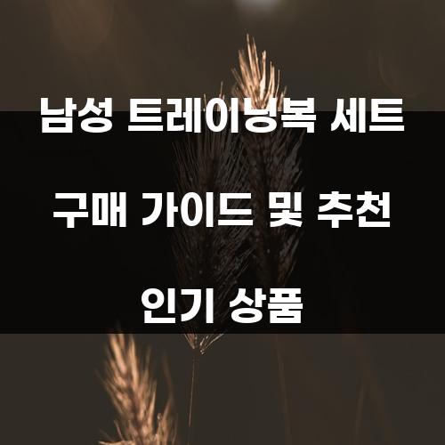 남성 트레이닝복 세트 구매 가이드 및 추천 인기 상품