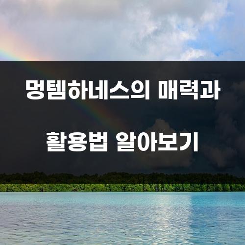 멍템하네스의 매력과 활용법 알아보기