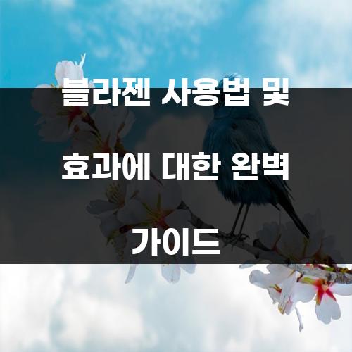 블라젠 사용법 및 효과에 대한 완벽 가이드