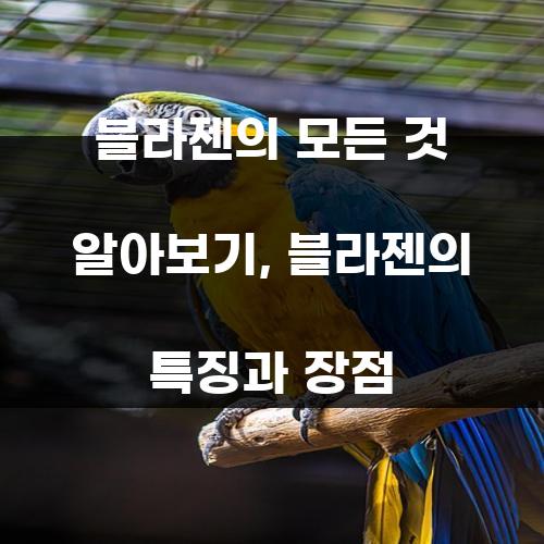 블라젠의 모든 것 알아보기,  블라젠의 특징과 장점
