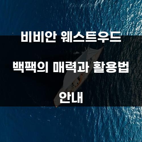 비비안 웨스트우드 백팩의 매력과 활용법 안내