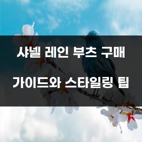 샤넬 레인 부츠 구매 가이드와 스타일링 팁