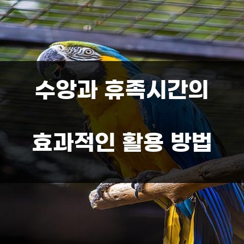 수앙과 휴족시간의 효과적인 활용 방법