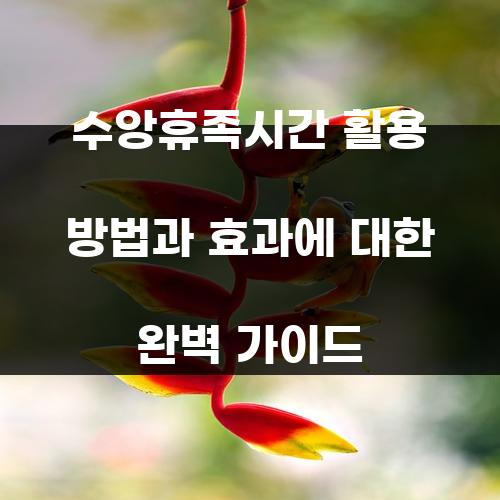 수앙휴족시간 활용 방법과 효과에 대한 완벽 가이드