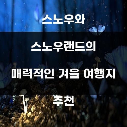 스노우와 스노우랜드의 매력적인 겨울 여행지 추천
