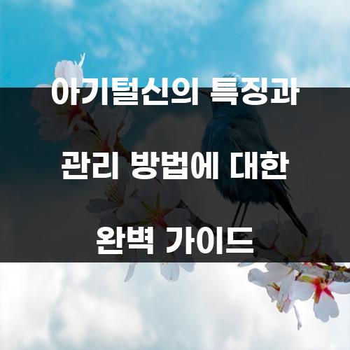 아기털신의 특징과 관리 방법에 대한 완벽 가이드