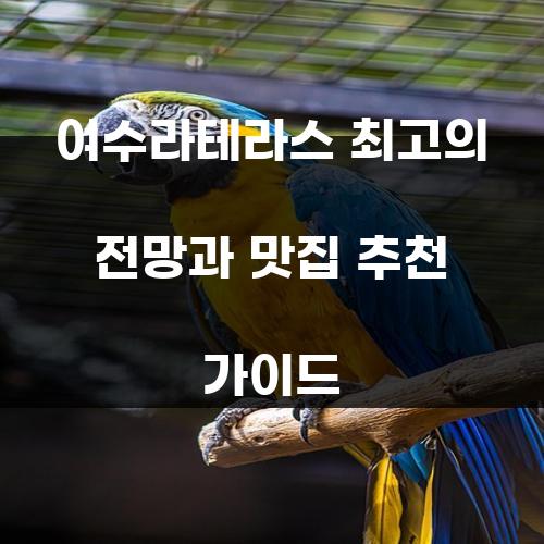 여수라테라스 최고의 전망과 맛집 추천 가이드