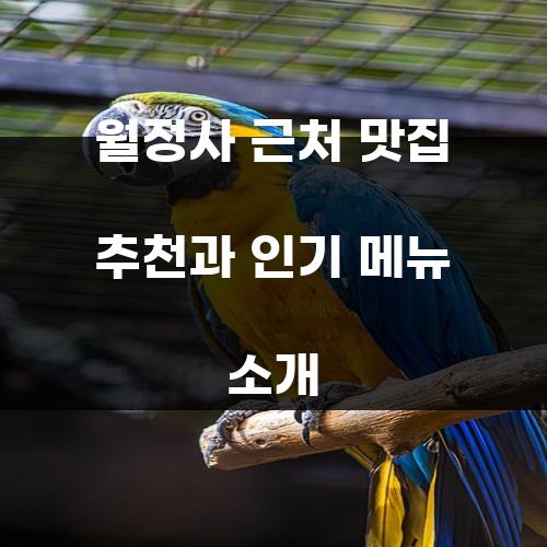 월정사 근처 맛집 추천과 인기 메뉴 소개