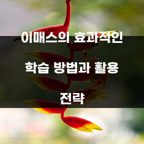 이매스의 효과적인 학습 방법과 활용 전략
