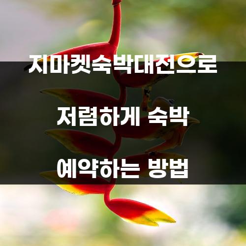 지마켓숙박대전으로 저렴하게 숙박 예약하는 방법