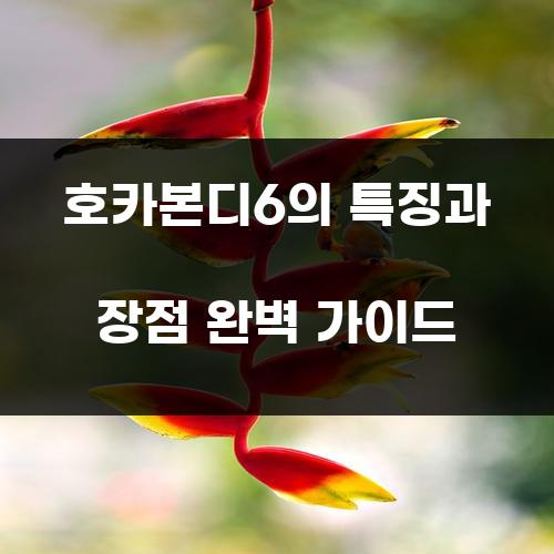 호카본디6의 특징과 장점 완벽 가이드