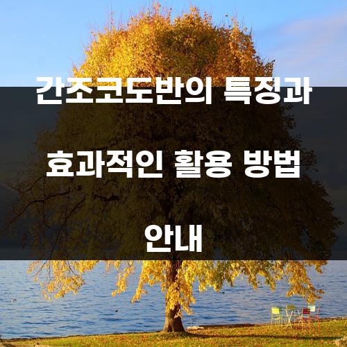 간조코도반의 특징과 효과적인 활용 방법 안내
